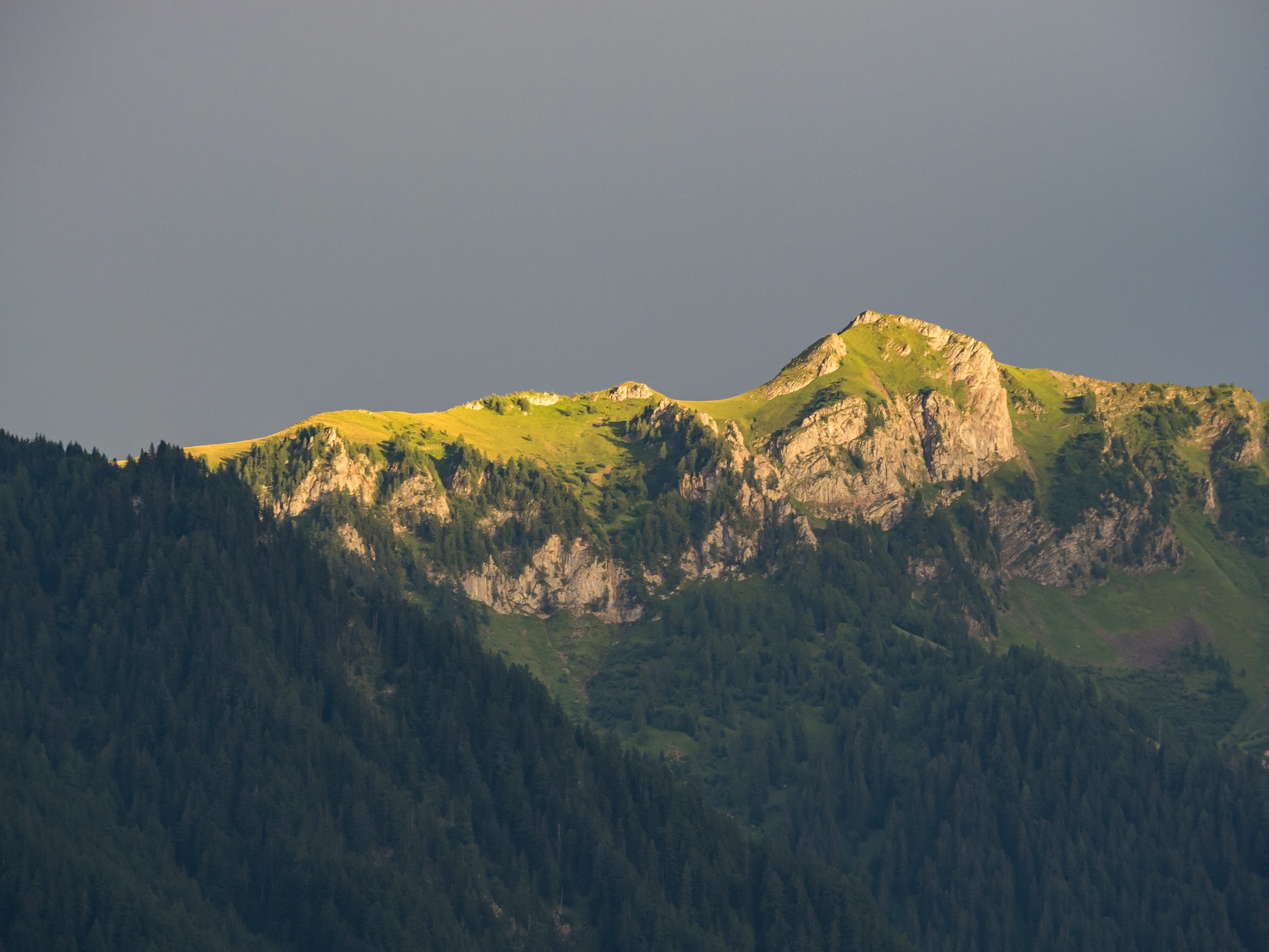 Anhaltendes Stimmungshoch